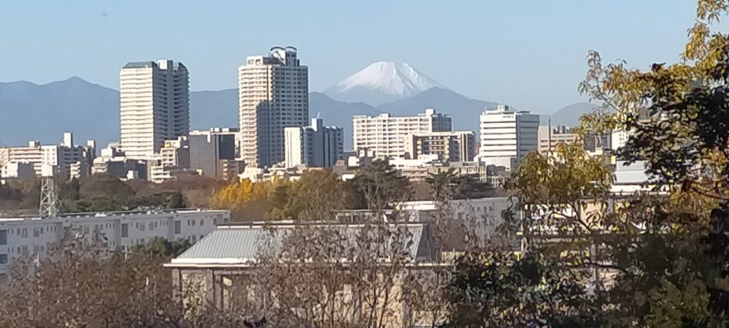 府中の街から富士山